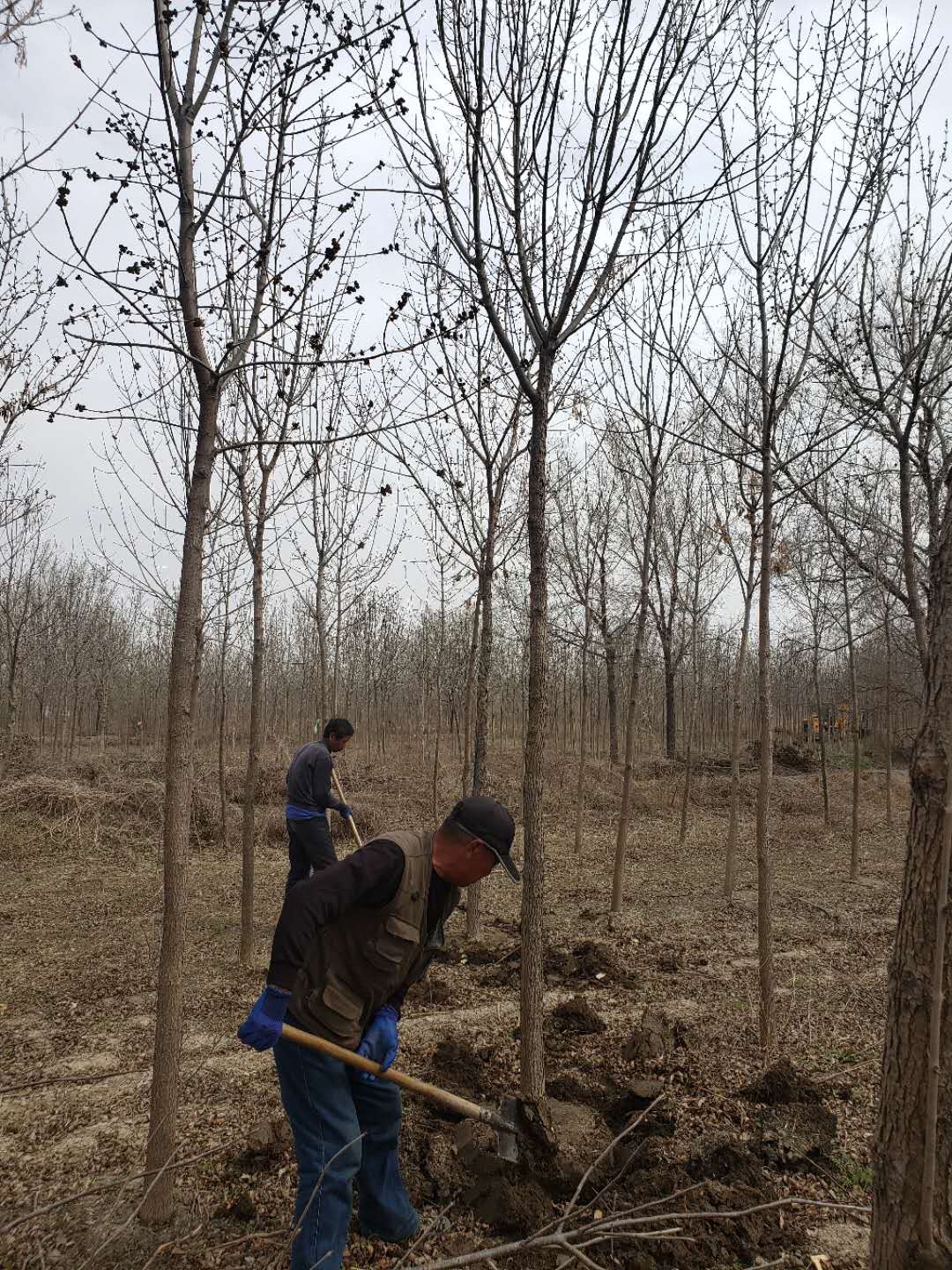 伟意国际(中国区)官方网站