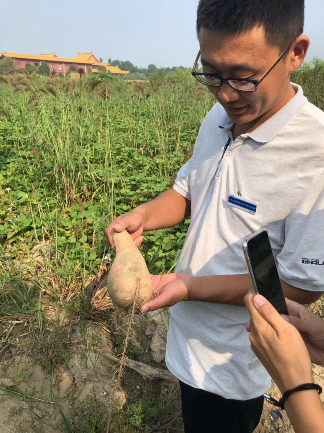 伟意国际(中国区)官方网站