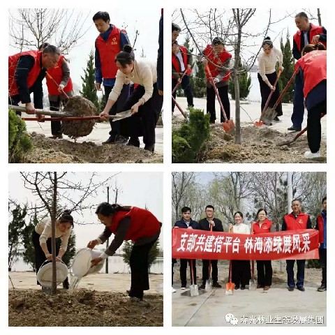 伟意国际(中国区)官方网站