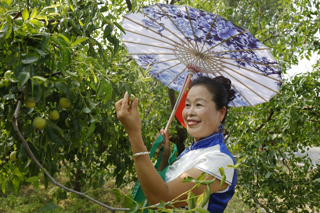 伟意国际(中国区)官方网站